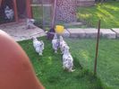 20130713_194802