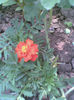 Imag136