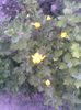 Imag156