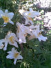 Imag041
