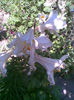 Imag042
