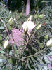 Imag044