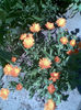 Imag045