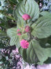 Imag050