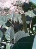 Imag051