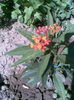 Imag054
