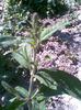 Imag057
