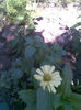 Imag059