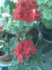 Imag065