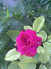 Imag066