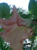 Imag068