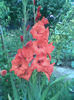 Imag070