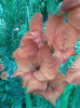Imag071