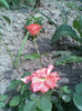 Imag075