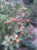 Imag076