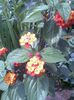Imag077
