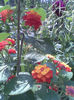 Imag078