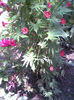 Imag086