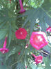 Imag088