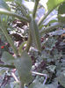 Imag089