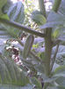 Imag090