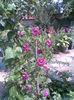 Imag091