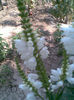 Imag097