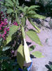 Imag040