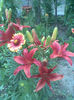 Imag005