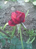 Imag014
