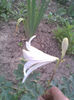 Imag016