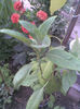 Imag019 - Copy
