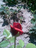 Imag056