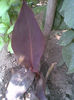 Imag103