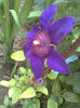 Imag115 - Copy