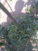 Imag134 - Copy