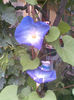 Imag182 - Copy (2)