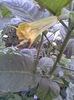 Imag194 - Copy