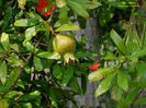 DSCN2326