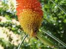 DSCN2431