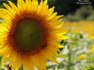 DSCN2581