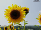 DSCN2583