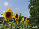 DSCN2585