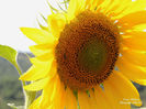 DSCN2586