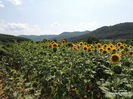 DSCN2587