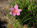 DSCN2686