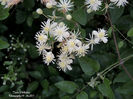 DSCN2801