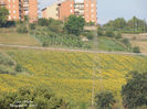 DSCN2802
