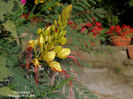 DSCN2806