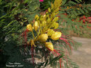 DSCN2807